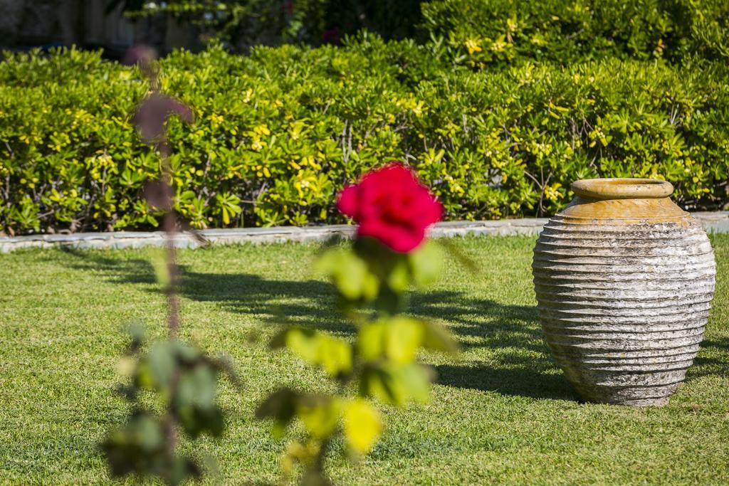 Olive Grove Studios & Apartments Svoronata Zewnętrze zdjęcie