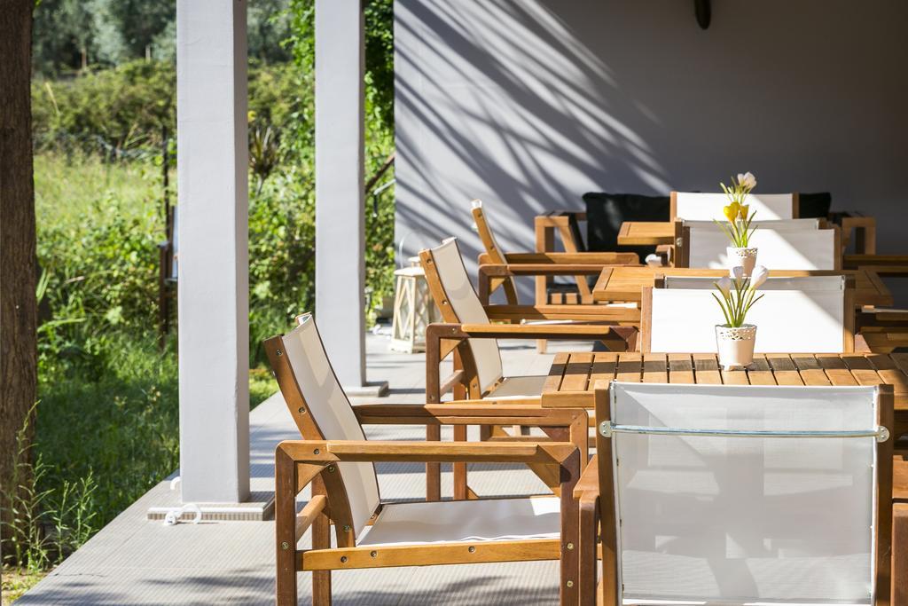Olive Grove Studios & Apartments Svoronata Zewnętrze zdjęcie
